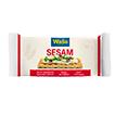 SESAM 13G